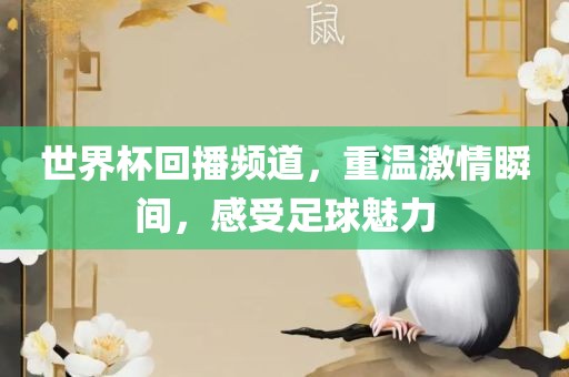 世界杯回播频道，重温激情瞬间，感受足球魅力