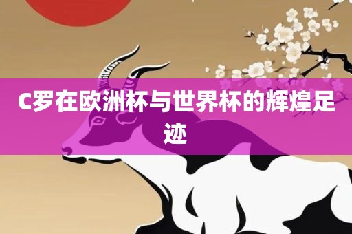 C罗在欧洲杯与世界杯的辉煌足迹