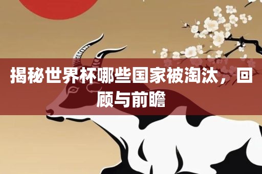 揭秘世界杯哪些国家被淘汰，回顾与前瞻