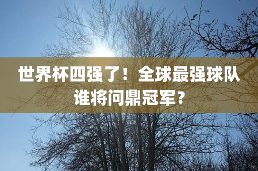 世界杯四强了！全球最强球队谁将问鼎冠军？