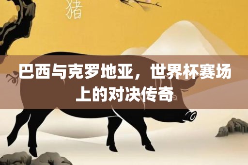 巴西与克罗地亚，世界杯赛场上的对决传奇眉山市正发家政服务有限公司