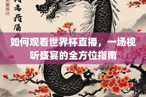 如何观看世界杯直播，一场视听盛宴的全方位指南