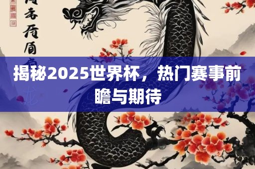 揭秘2025世界杯，热门赛事前瞻与期待眉山市正发家政服务有限公司