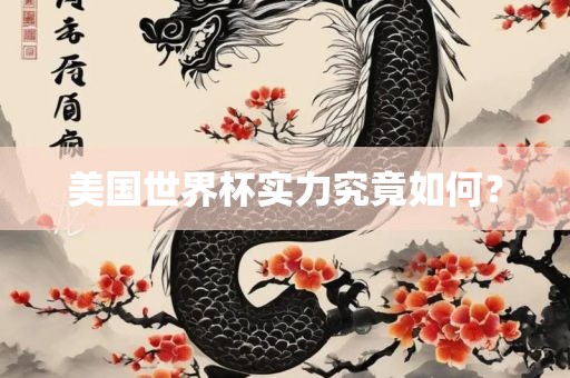 美国世界眉山市正发家政服务有限公司杯实力究竟如何？