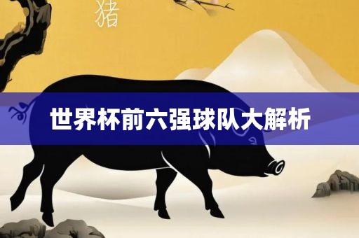 眉山市正发家政服务有限公司世界杯前六强球队大解析