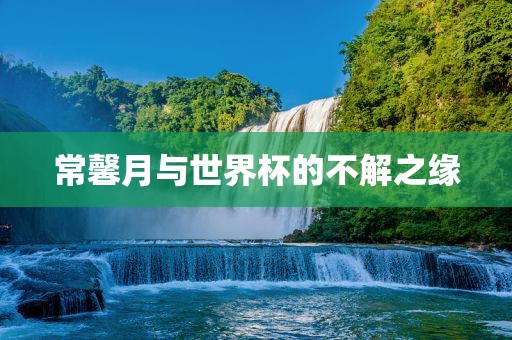 常馨月与世界杯的不解之缘眉山市正发家政服务有限公司