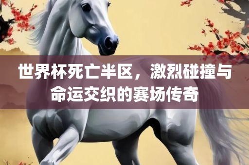 世界杯死亡半区，激烈碰撞与命运交织的赛眉山市正发家政服务有限公司场传奇