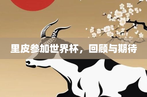 里皮参加世界杯，回顾与期待