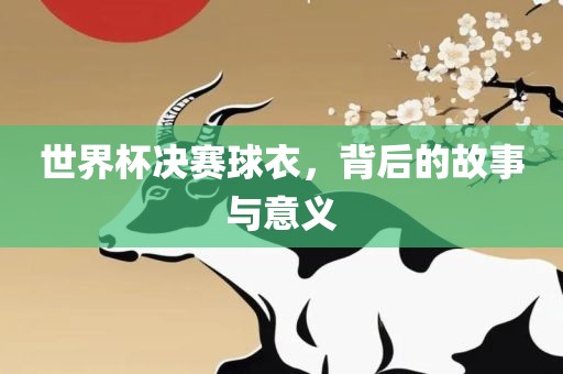 世界杯决赛球衣，背后的故事与意义