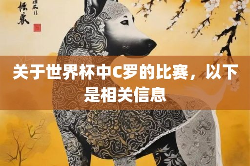 关于世界杯中C罗的比赛，以下是相关信息