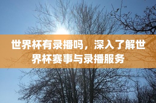 世界杯有录播吗，深入了解世界杯赛事与录播服务