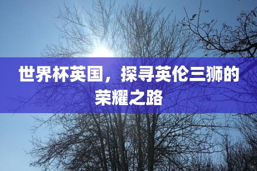 世界杯英国，探寻英伦三狮的荣耀之路