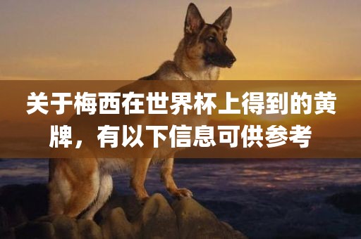 关于梅西在世界杯上得到的黄牌，有以下信息可供参考