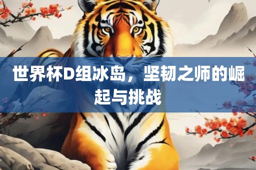 世界杯D组冰岛，坚韧之师的崛起与挑战