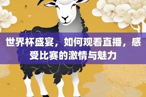 世界杯盛宴，如何观看直播，感受比赛的激情与魅力