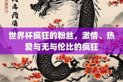 世界杯疯狂的粉丝，激情、热爱与无与伦比的疯狂