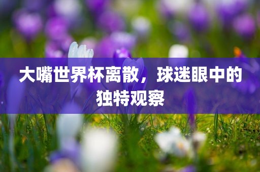 大嘴世界杯离散，球迷眼中的独特观察