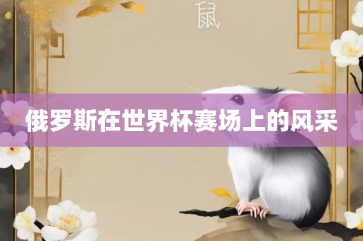 俄罗斯在世界杯赛场上的风采