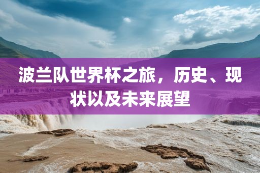 波兰队世界杯之旅，历史、现状以及未来展望