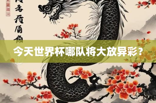 今天世界杯哪队将大放异彩？