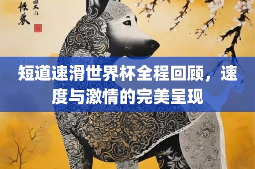 短道速滑世界杯全程回顾，速度与激情的完美呈现