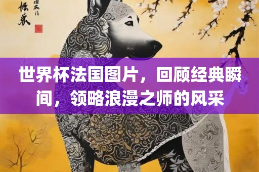 世界杯法国图片，回顾经典瞬间，领略浪漫之师的风采