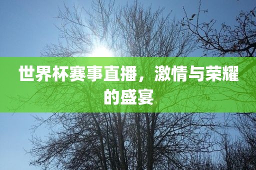 世界杯赛事直播，激情与荣耀的盛宴