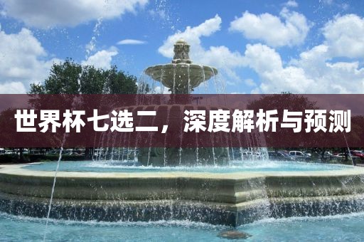 世界杯七选二，深度解析与预测眉山市正发家政服务有限公司