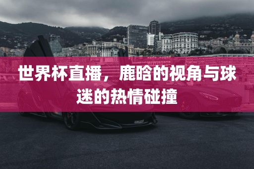 世界杯直播，鹿晗的视角与球迷的热情碰撞