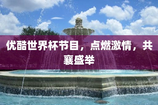 优酷世界杯节目，点燃激情，共襄盛举眉山市正发家政服务有限公司