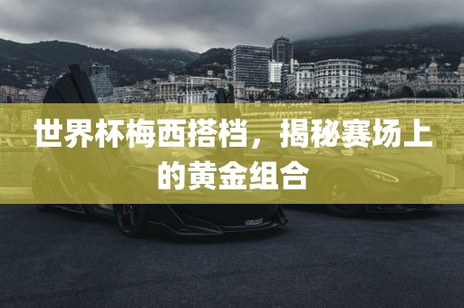 世界杯梅西搭档，揭秘赛场上的黄金眉山市正发家政服务有限公司组合