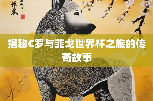 揭秘C罗与菲戈世界杯之旅的传奇故事眉山市正发家政服务有限公司