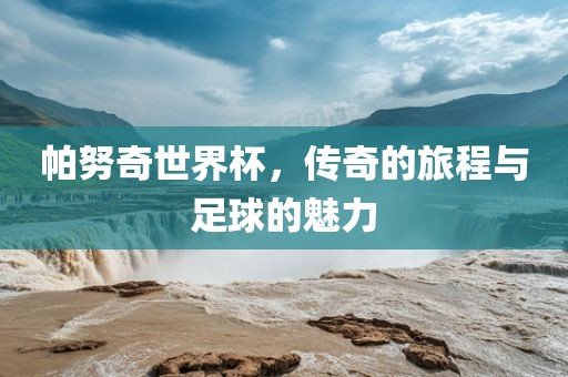 帕努奇世界杯，传奇的旅程与足球的魅力