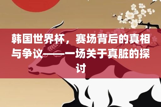 韩国世界杯，赛场背后的真相与争议——一场关于真脏的探讨