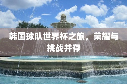 韩国球队世界杯之旅，荣耀与挑战并存