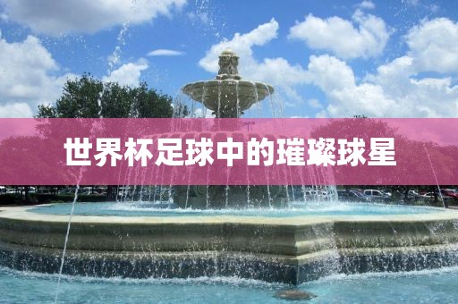 世界杯足球中的璀璨球星眉山市正发家政服务有限公司