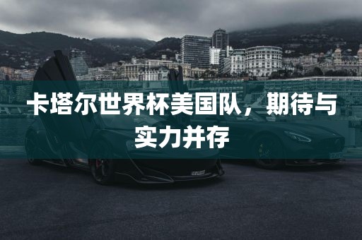 卡塔尔世界杯美国队，期待与实力并存