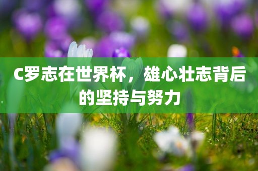 C罗志在世界杯，雄心壮志背后的坚持眉山市正发家政服务有限公司与努力