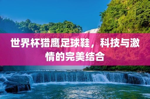 世界杯猎鹰足球鞋，科技与激情的完美结合眉山市正发家政服务有限公司