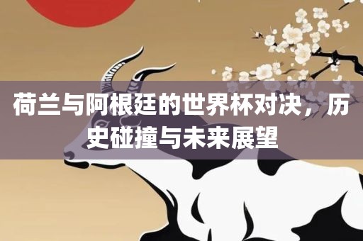 荷兰与阿根廷的世界杯对决，历史碰撞与未来展望眉山市正发家政服务有限公司