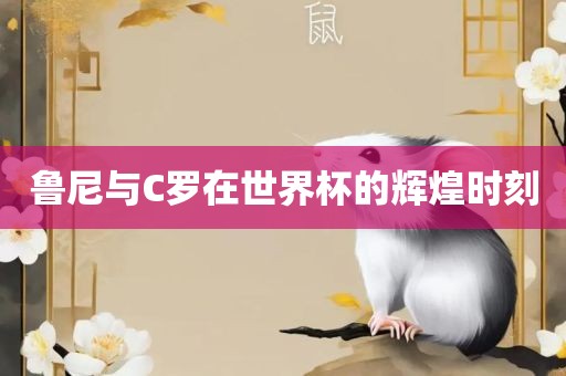 鲁尼与C罗在世界杯的辉煌时刻