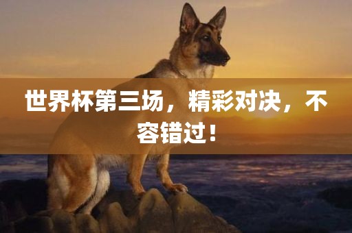 世界杯第三场，精彩对决，不容错过！