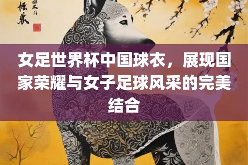 女足世界杯中国球衣，展现国家荣耀与女子足球风采的完美结合