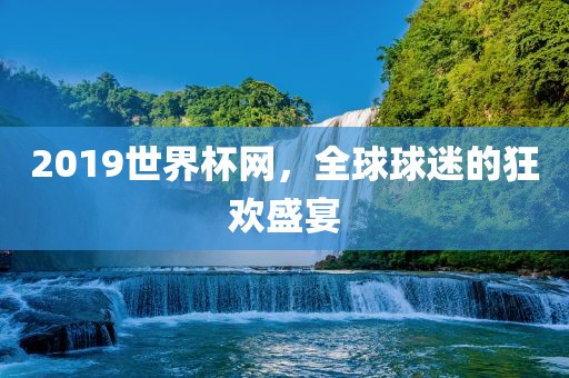 2019世界杯网，全球球迷的狂欢盛宴