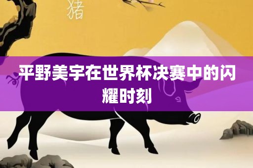 平野美宇在世界杯决赛中的闪耀时刻