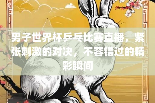 男子世界杯乒乓比赛直播，紧张刺激的眉山市正发家政服务有限公司对决，不容错过的精彩瞬间