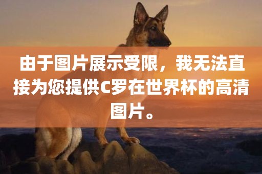 由于图片展示受限，我无法直接为您提供C罗在世界杯的高清图片。