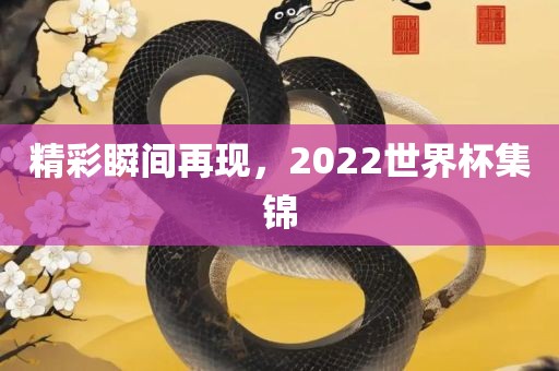 精彩瞬间再现，2022世界杯集锦