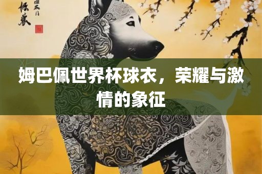 姆巴佩世界杯球衣，荣耀与激情的象征眉山市正发家政服务有限公司