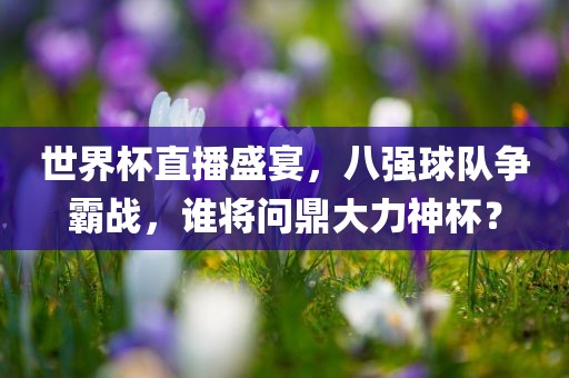 世界杯直播盛宴，八强球队争霸战，谁将问鼎大力神杯？
